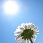 Sonnenschutz